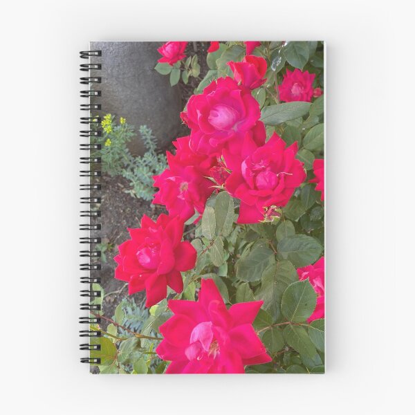 Item preview, Hot Pink Roses designed and sold by Creatiview.