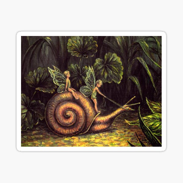 snail art snail lover car sticker bumper sticker snails forestcore nature art