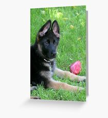Half time in the football Greeting Card