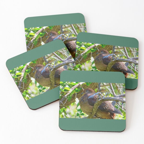 Item preview, Brown Pigeon roosting in a tree by Bao-Er designed and sold by Chinaspaces.