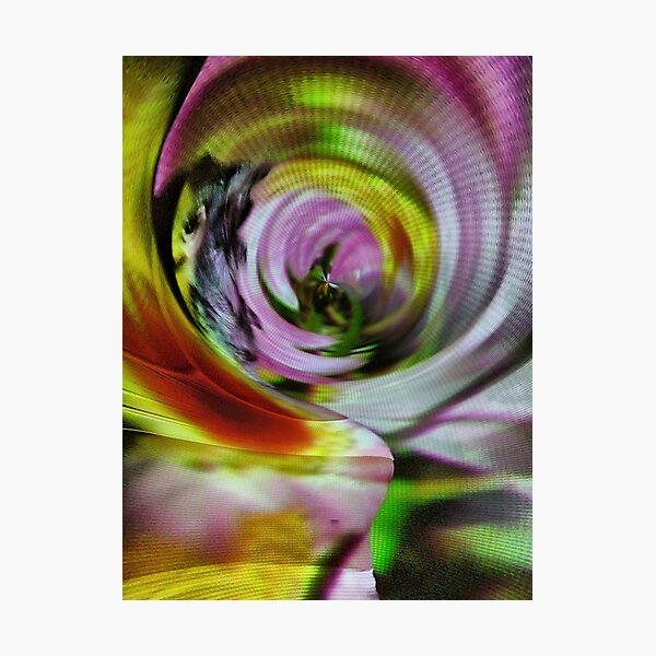 the curves of women 11 Photographic Print