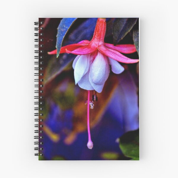 Item preview, Flirtatious Fuschia designed and sold by wallarooimages.