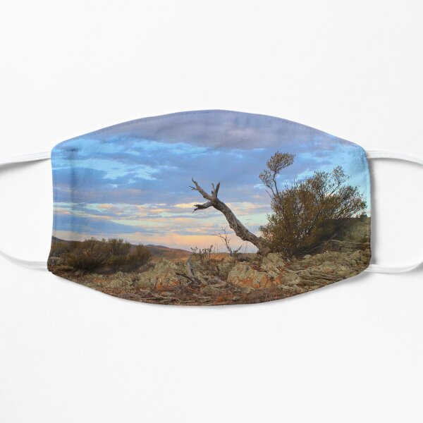 Nature's sculpture, Bendleby Ranges, Australia Flat Mask