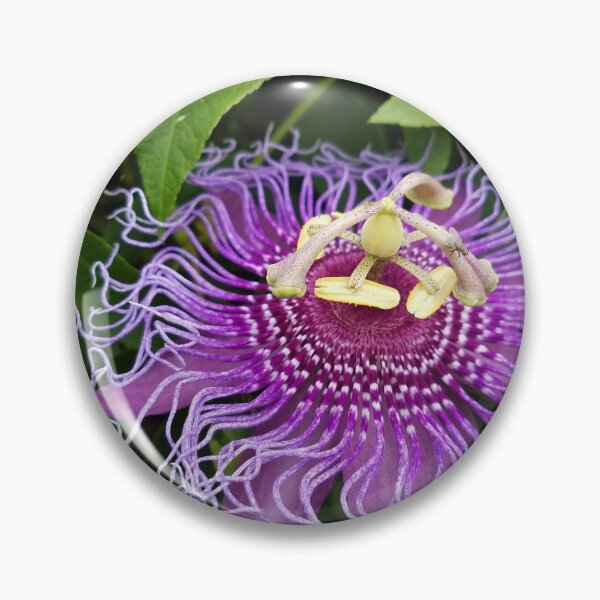 Item preview, flower of passion designed and sold by Rhashid.