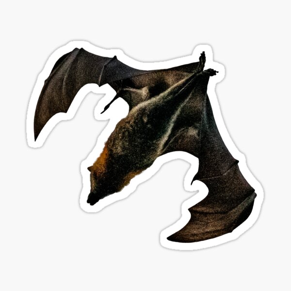 Bat Logo Sticker