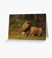 NC Zoo Greeting Card