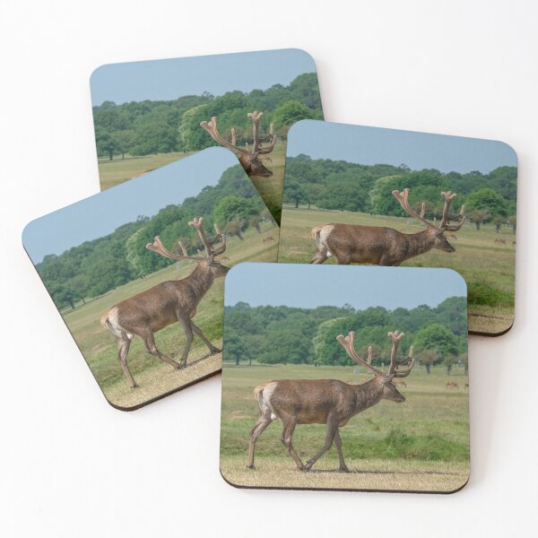 Item preview, The beauty of Stags within Richmond Park designed and sold by Tom Ryan-Elliott.