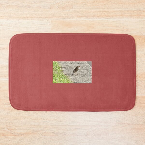 Item preview, Small grey bird all alone on a grey cement tile (灰色的小鸟独自一人在灰色的水泥瓦上) by Bao-Er designed and sold by Chinaspaces.
