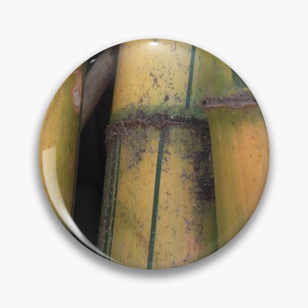 Artikelvorschau, Goldener Bambus entworfen und verkauft von Genevieve Hanlon Art and Photography.