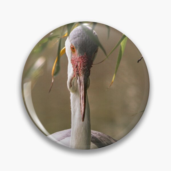 Item preview, Wattled crane designed and sold by KcsArt87.