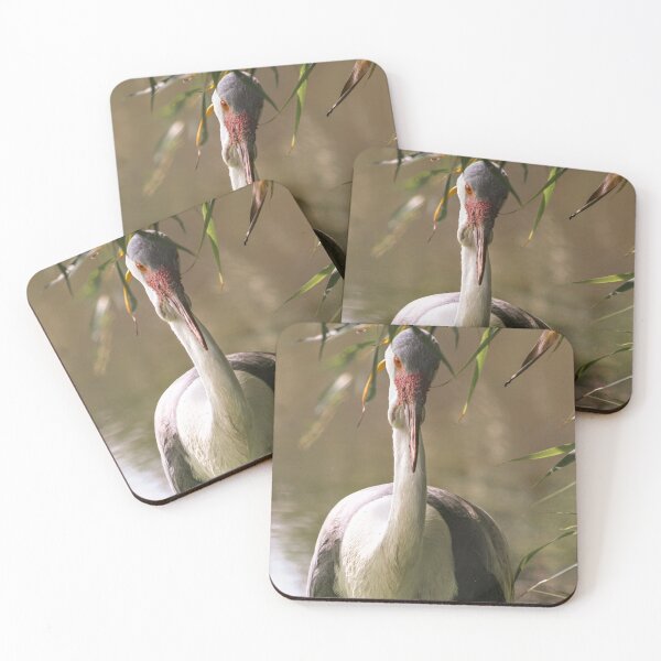 Item preview, Wattled crane designed and sold by KcsArt87.