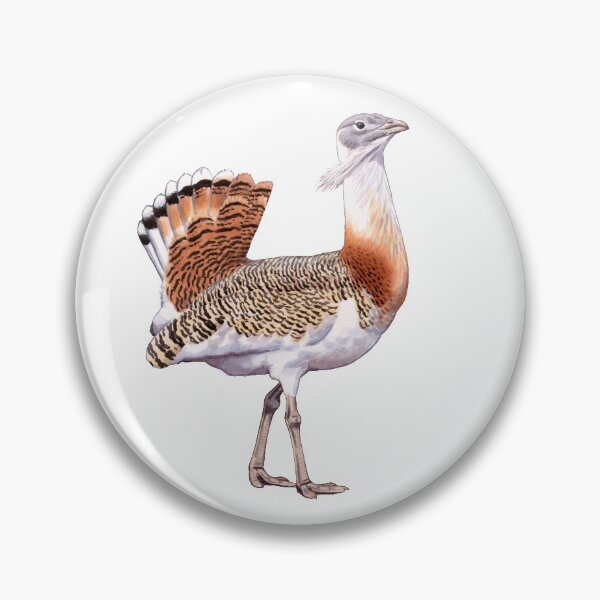 Item preview, Great Bustard designed and sold by kokayart.