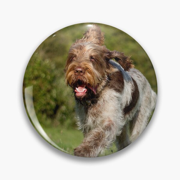 Item preview, Running in Summer Spinone by heidiannemorris designed and sold by FOLK ART FUSION by heidiannemorris.