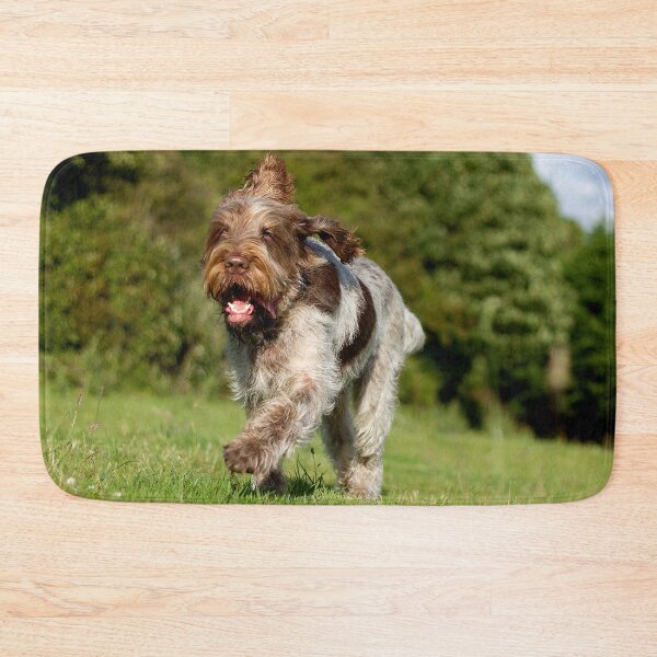 Item preview, Running in Summer Spinone by heidiannemorris designed and sold by FOLK ART FUSION by heidiannemorris.