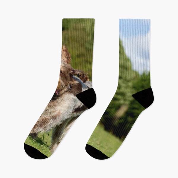 Item preview, Running in Summer Spinone by heidiannemorris designed and sold by FOLK ART FUSION by heidiannemorris.