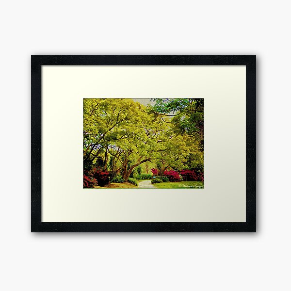 Item preview, Come Stroll With Me designed and sold by wallarooimages.