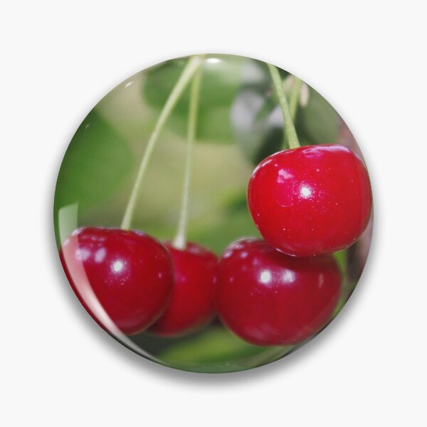 Item preview, Cherries, fresh on the tree designed and sold by rvjames.