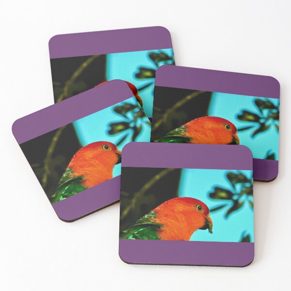 Item preview, King Parrot eating seeds in the Blue Mountains, New South Wales, Australia (鹦鹉王在澳大利亚新南威尔士州的蓝山山脉吃种子) by Bao-Er designed and sold by Chinaspaces.