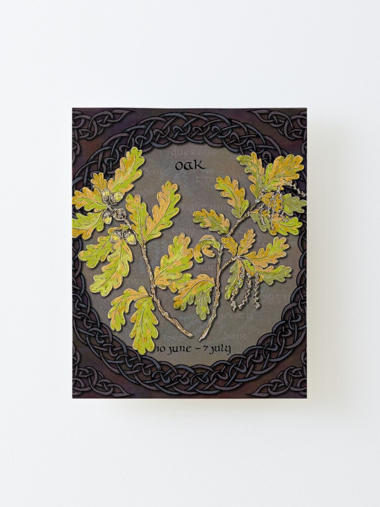 Celtic Tree Calendar Oak Mounted Print for Sale by lottibrown