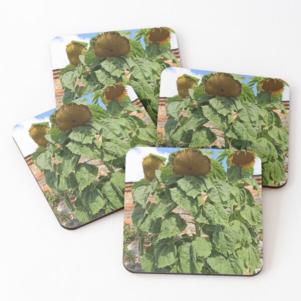 Item preview, Tall sunflowers growing designed and sold by pinkal.