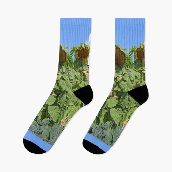Item preview, Tall sunflowers growing designed and sold by pinkal.