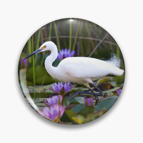 Item preview, Little Egret  designed and sold by MargsNaturePix.