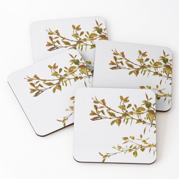Item preview, Green leaves background with shadow on white colour wall. designed and sold by Kizuneko.