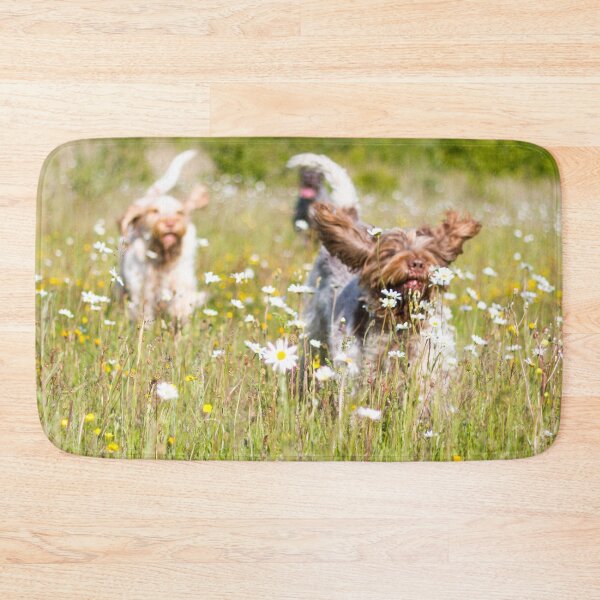 Item preview, Wild daisies Spinoni by heidiannemorris designed and sold by FOLK ART FUSION by heidiannemorris.
