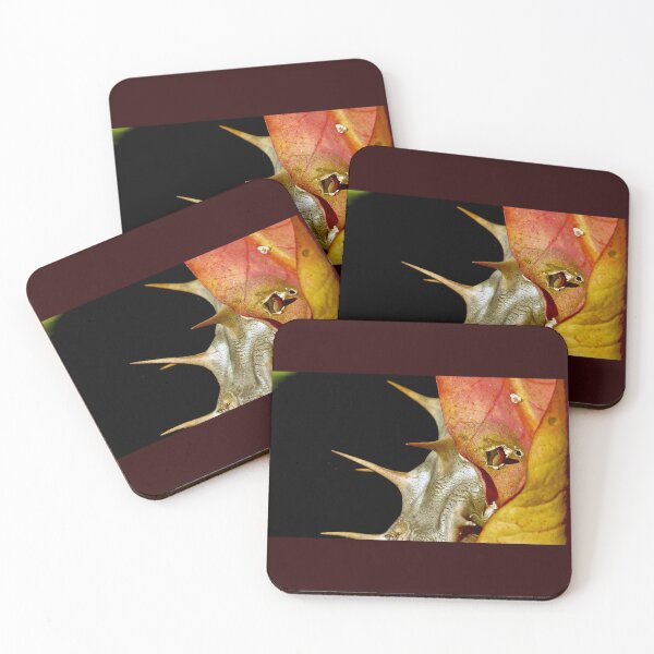 Item preview, Sharp Thorns 荆棘 against a black background by Bao-Er designed and sold by Chinaspaces.