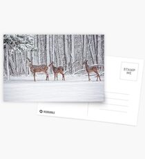 Winter Visit Postcards