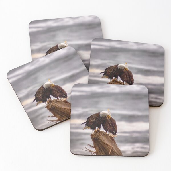 Item preview, Águilas en la playa designed and sold by Kathy Weaver.