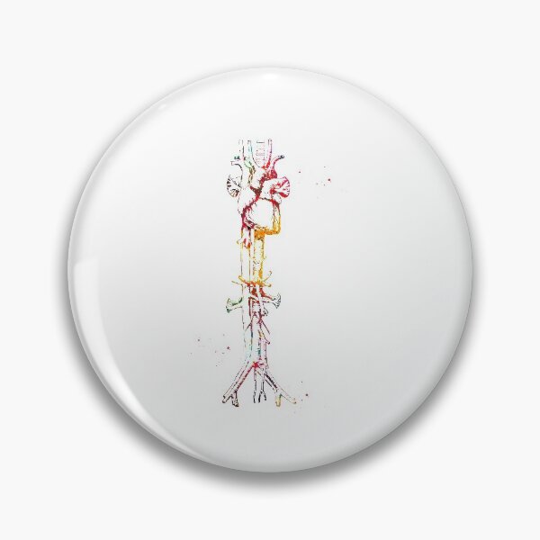 Item preview, Aorta vein and heart designed and sold by Liededrom..