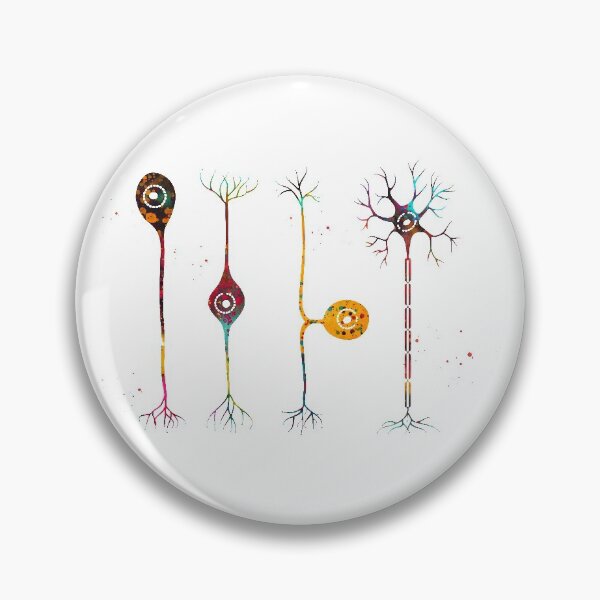 Item preview, Four types of neurons designed and sold by Liededrom..
