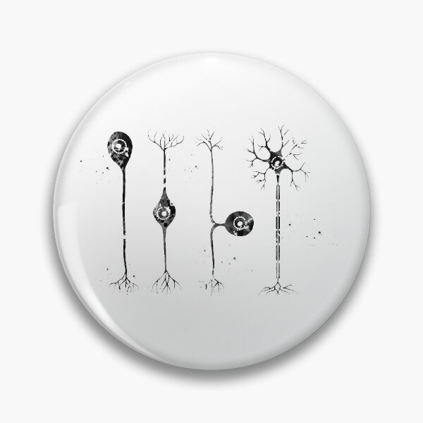 Item preview, Four types of neurons designed and sold by Liededrom..