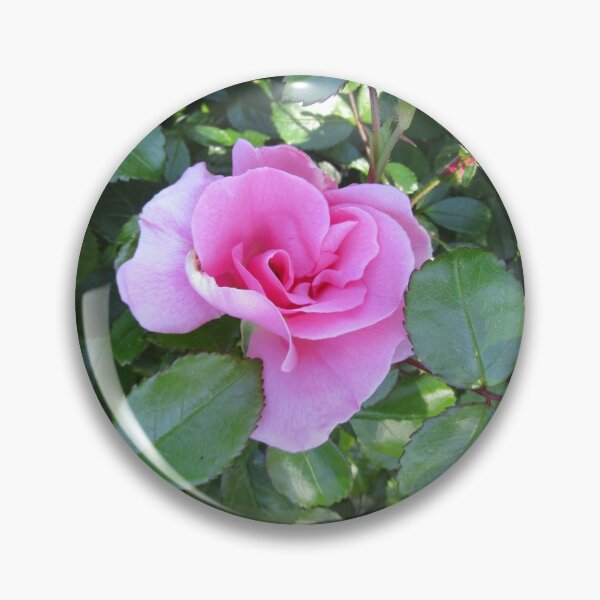 Item preview, Pretty pink rose. designed and sold by joshuarainbird.