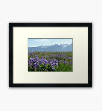 Olympic Mountains Framed Print