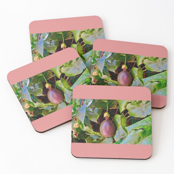 Item preview, Single Passionfruit handing from a vine (挂在藤上的百香果) by Bao-Er designed and sold by Chinaspaces.