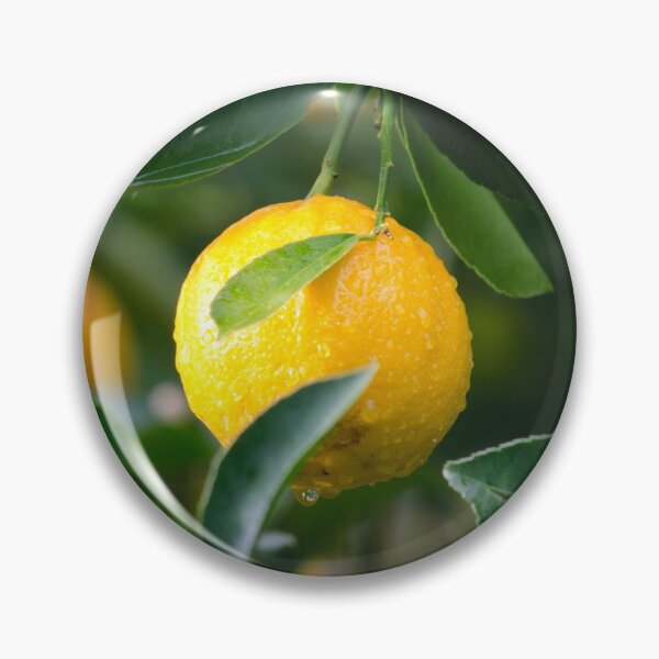 Artikelvorschau, LOVELY ORANGE FRUIT IST EIN SCHÖNES UND ENTZÜCKENDES DESIGN entworfen und verkauft von VividThreadsDesignStudio.
