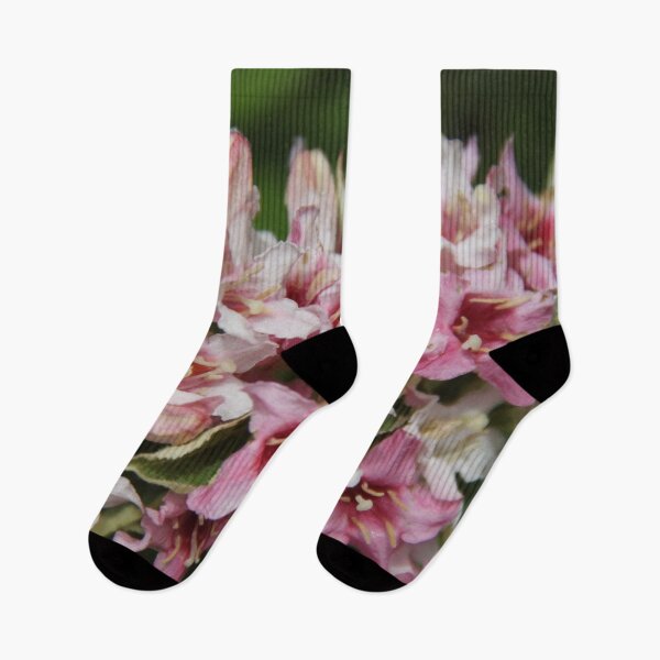 Item preview, Variegated perennial weigelia tree in pink flowers	 designed and sold by EstelleRossetti.