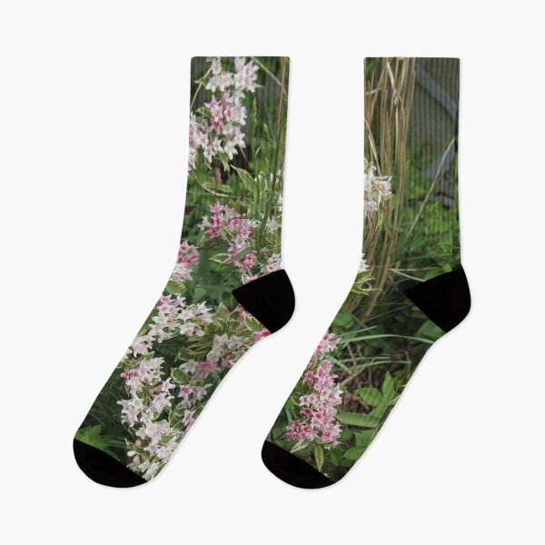 Item preview, Variegated perennial weigelia tree in pink flowers	 designed and sold by EstelleRossetti.