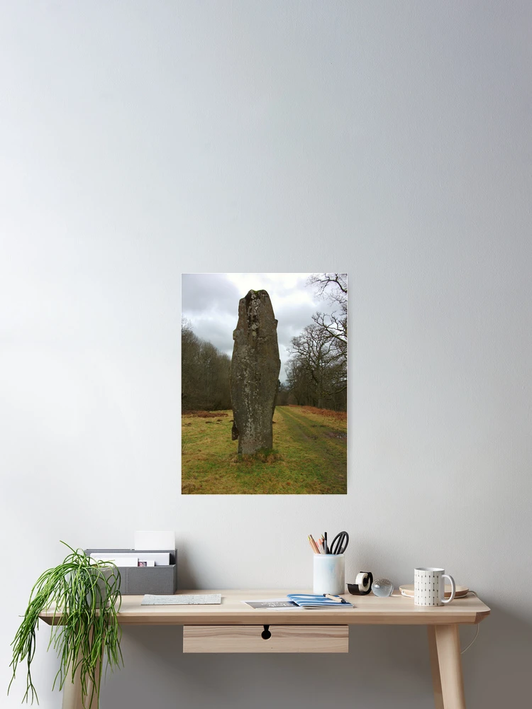 Thumbnail 2 of 3, Poster, Fish Stone designed and sold by ImageInNation.