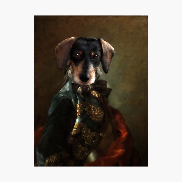 Dachshund in barok style Photographic Print