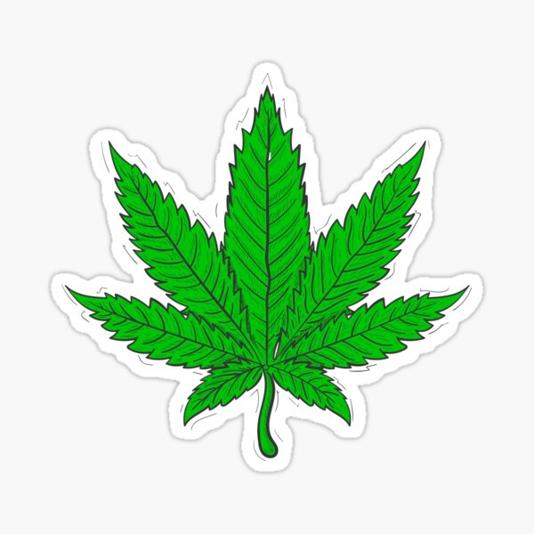 California Circle Weed Leaf Panties Marijuana Sticker Decal