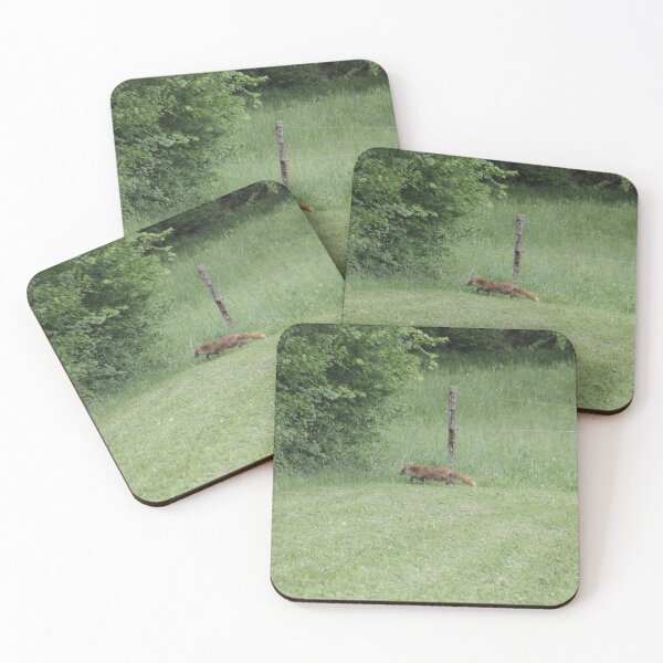Item preview, Female cautious fox in the meadow	 designed and sold by EstelleRossetti.