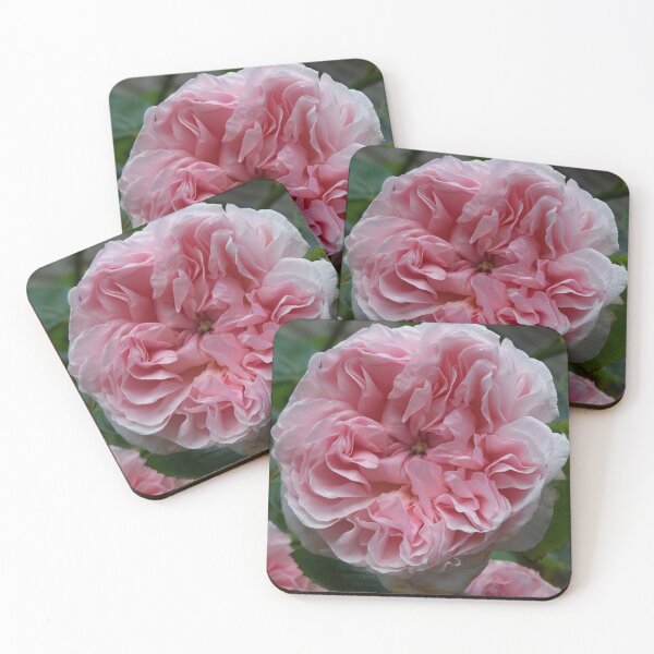 Item preview, Filled rose in pink designed and sold by Boscastle.