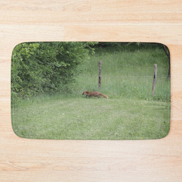 Item preview, Female cautious fox in the meadow	 designed and sold by EstelleRossetti.