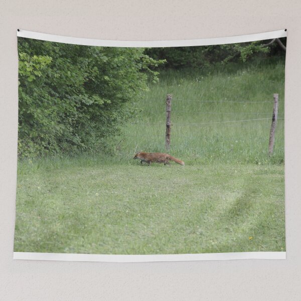 Item preview, Female cautious fox in the meadow	 designed and sold by EstelleRossetti.