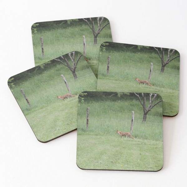 Item preview, Female cautious fox in the meadow	 designed and sold by EstelleRossetti.