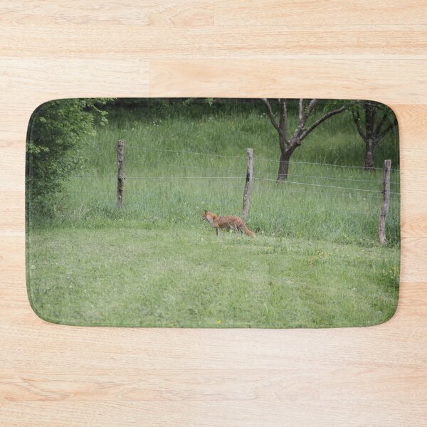 Item preview, Female cautious fox in the meadow	 designed and sold by EstelleRossetti.