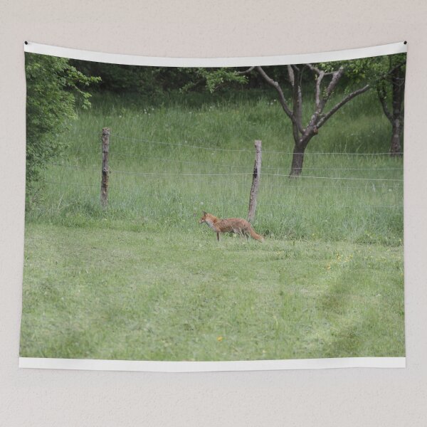 Item preview, Female cautious fox in the meadow	 designed and sold by EstelleRossetti.